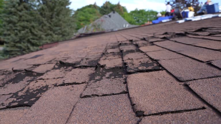 Best Sheet Metal Roofing  in Augusta, KS