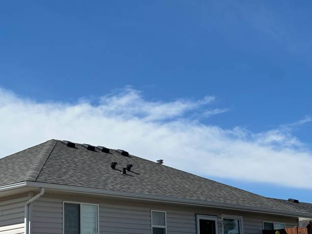 Best Metal Roofing Installation  in Augusta, KS